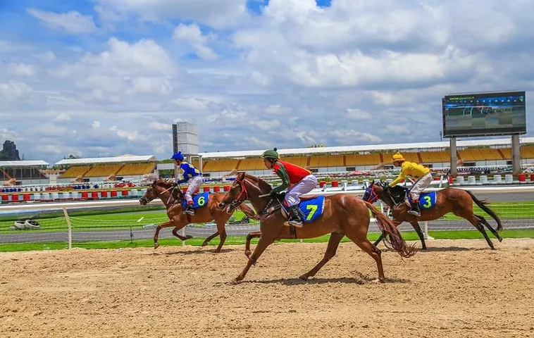 Khám Phá Cá Cược Đua Ngựa Xoso66 Rinh Thưởng Lớn