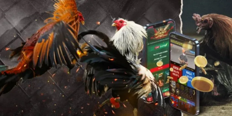 Mẹo Cược Đá Gà GA28 Tại Xoso66 Từ Cao Thủ Luôn Thắng Đậm