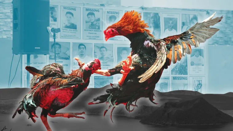 Bậc Thầy Đá Gà Sabong Tại Xoso66 Kinh Nghiệm Chơi Chắc Thắng