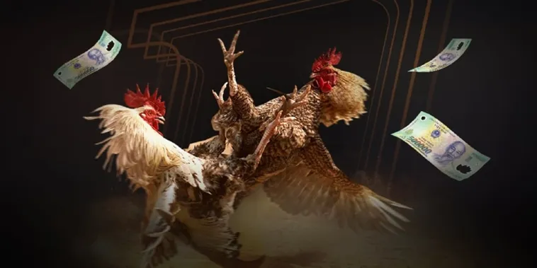 Đá Gà Xoso66 Trực Tiếp Đỉnh Cao Trải Nghiệm Cược Thắng Lớn